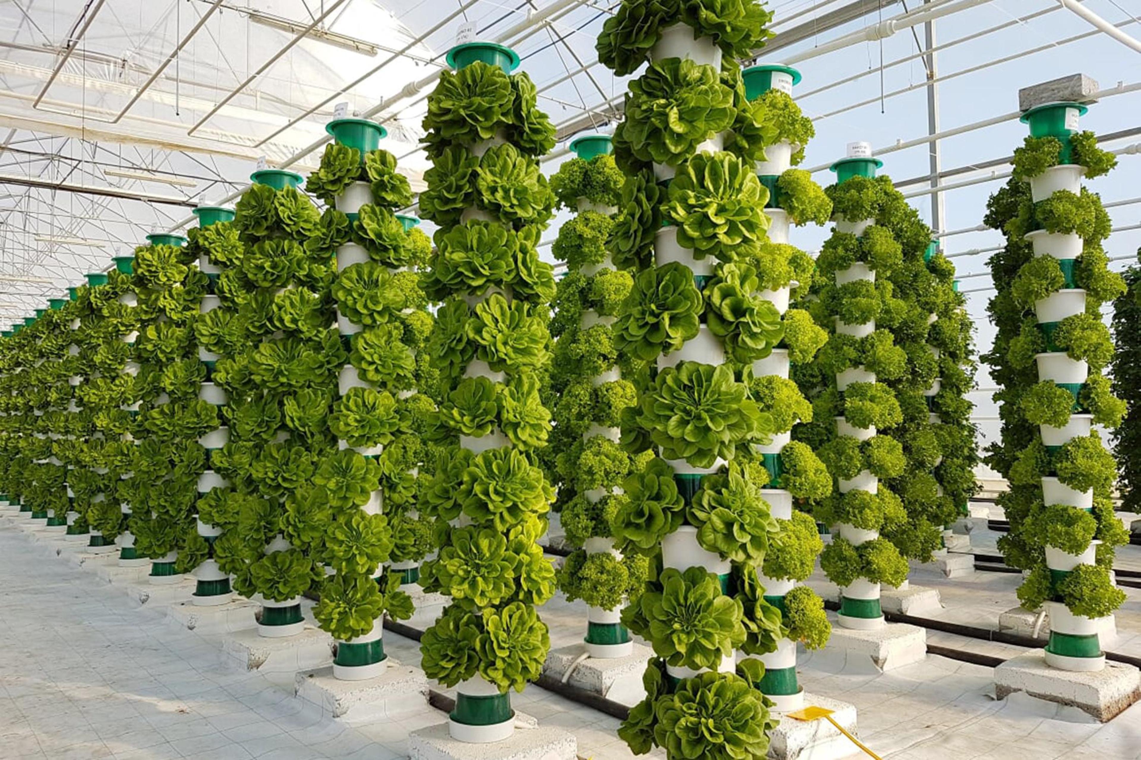 Vertical Farming