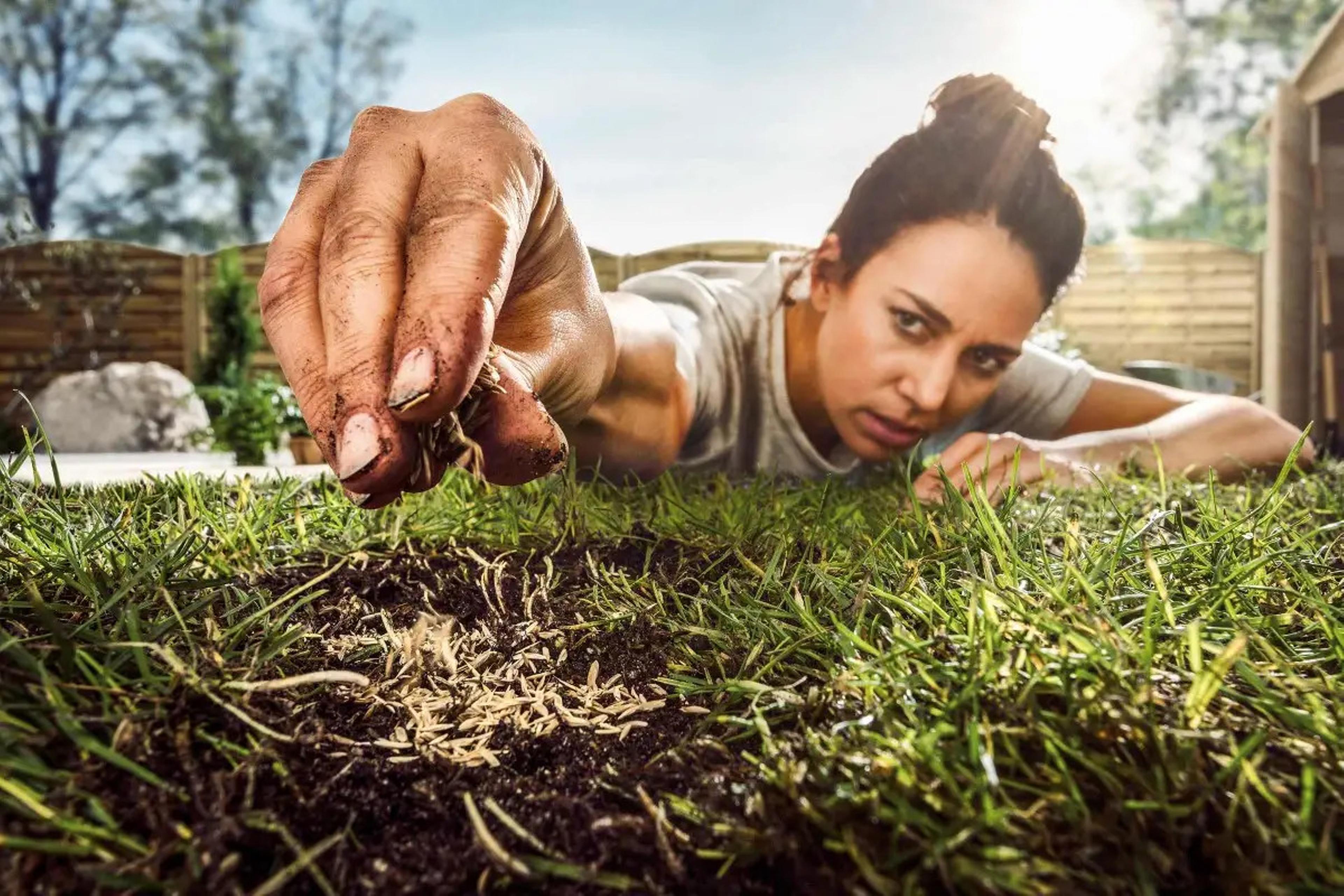 Gardening